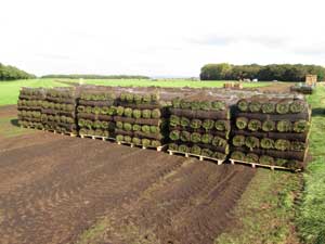 Sefton Turf| supplying Turf and topsoil to Merseyside